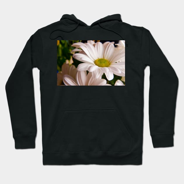 White Chrysanthemum flower Hoodie by InspiraImage